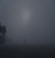 Fog
Cold!